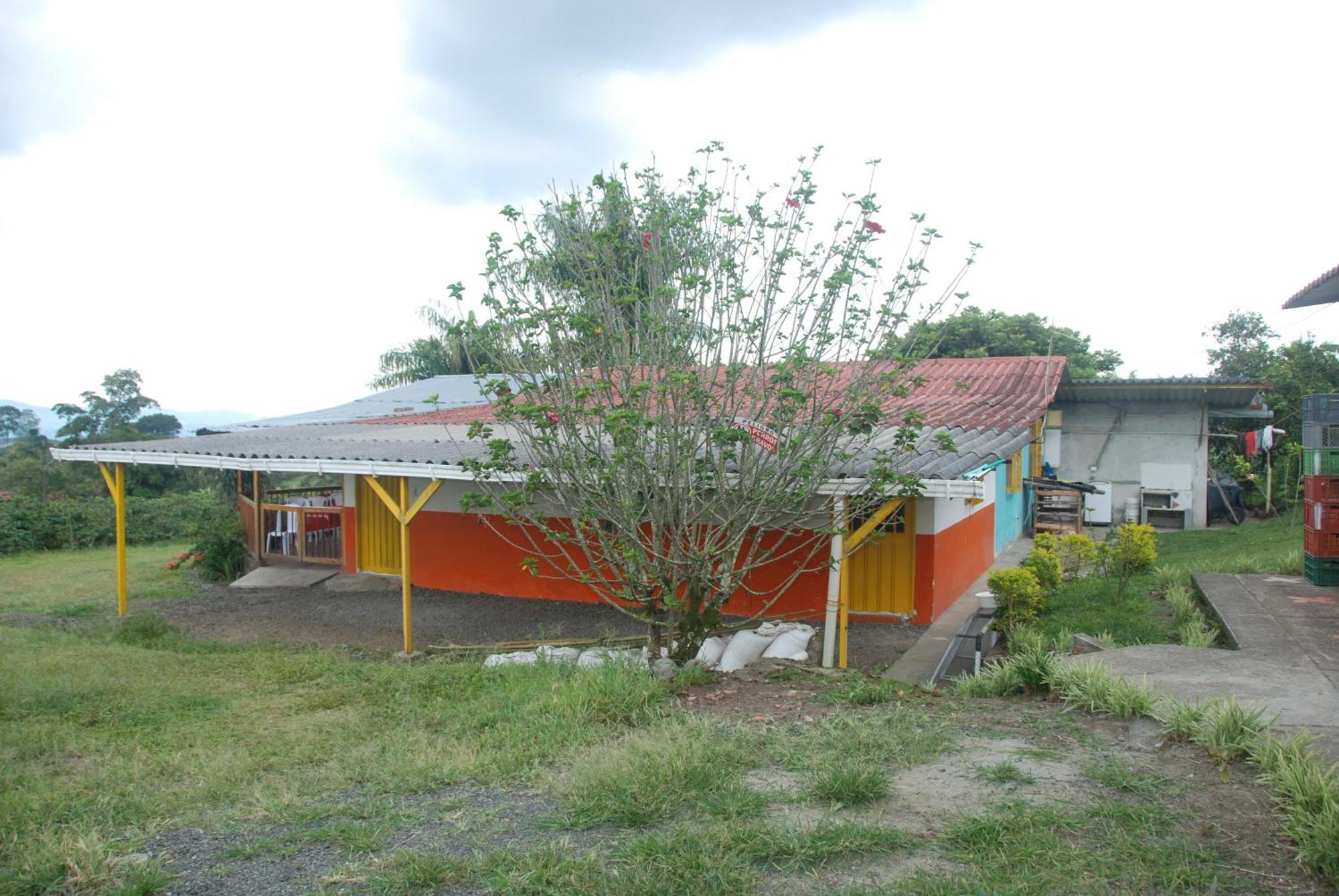 Finca En El Quindio Arrullo Cafetero Quimbaya Buitenkant foto